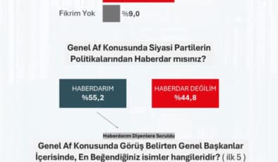 Toplumun Yarısından Fazlası Affı Onaylıyor