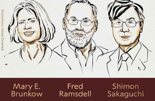 2025 Nobel Tıp Ödülleri Sahiplerini Buldu
