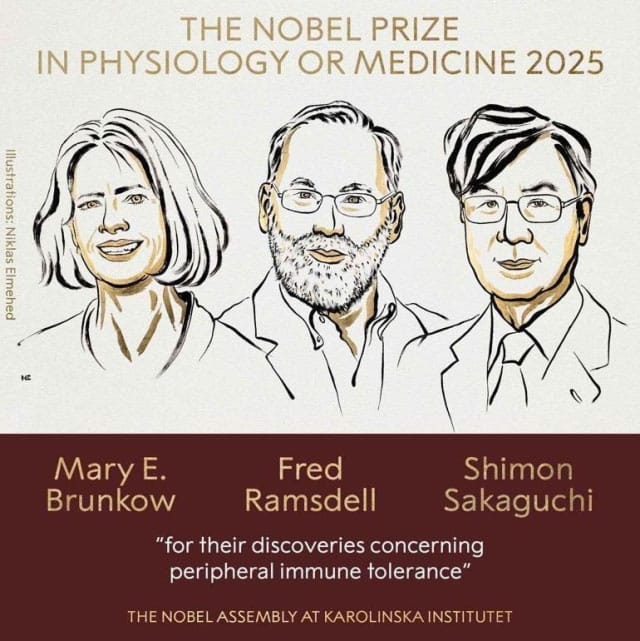 2025 Nobel Tıp Ödülleri Sahiplerini Buldu