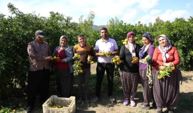 Fiyat Düşüşü Üreticiyi Sevindirdi