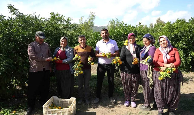 Fiyat Düşüşü Üreticiyi Sevindirdi
