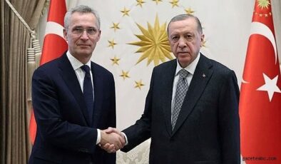 Mısır ve Kestane Arasında Diplomasi