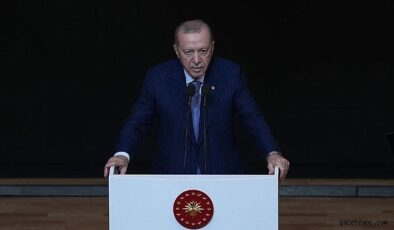 Erdoğan: “Atatürk’e Hakarete Karşıyız”