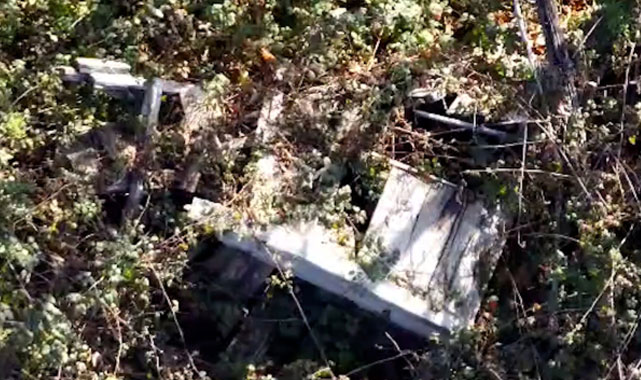 Kastamonu Bozkurt’ta Anne ve Oğlu Ormanlık Alanda Ölü Bulundu