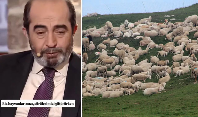 Koyunların Götürdüğü Şehit Sırrı