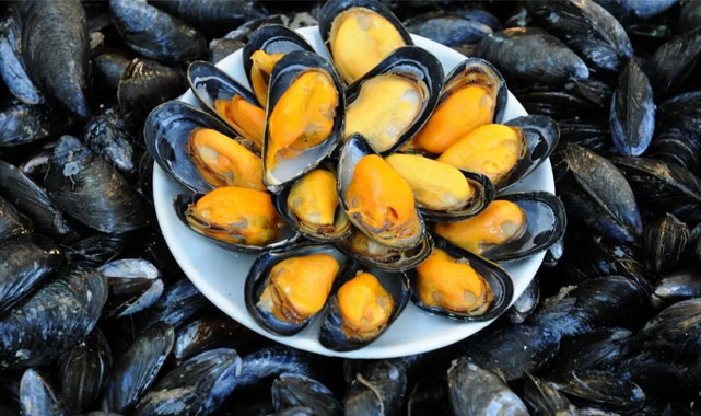 Kumpir ve Midye Faciası