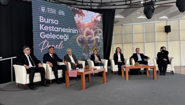 Bursa Kestane Şekerinin Geleceği