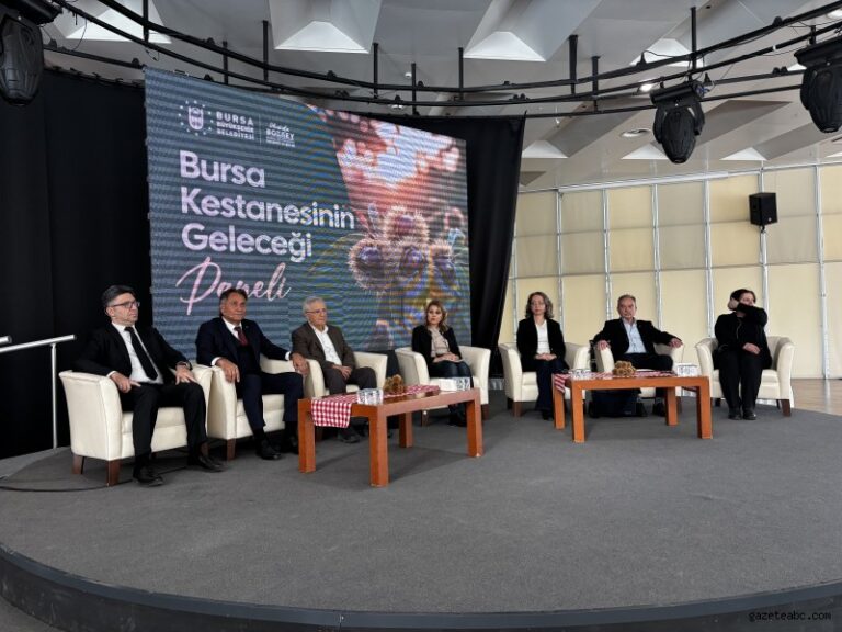 Bursa Kestane Şekerinin Geleceği