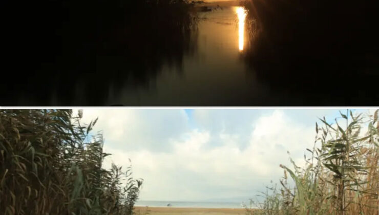 Doğu Marmara’nın Can Damarı Kuruyor