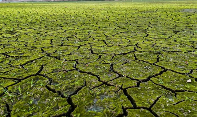 Su Kıtlığı ve Kuraklık Tehlikesi