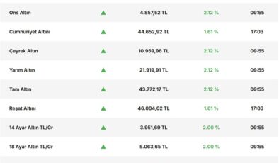 Altın Rekor Kırıyor