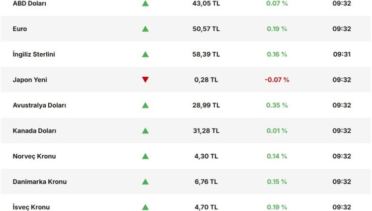 Dolar Endeksi İstikrar Kazandı