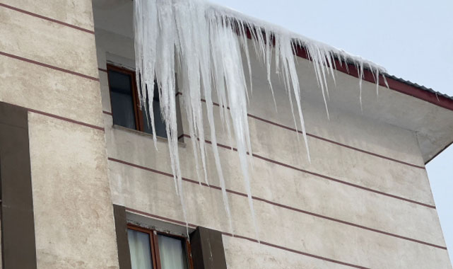 Dondurucu Soğuklar Hayatı Felç Etti