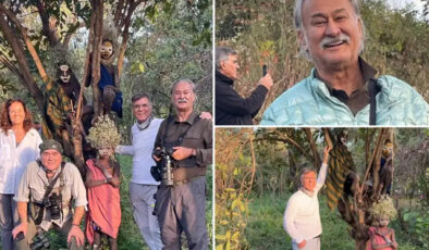 Safari Faciasının Detayları Ortaya Çıktı