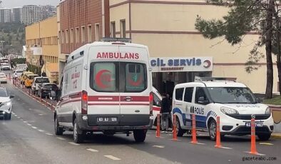 Tacizci Sapığa Meydan Dayağı