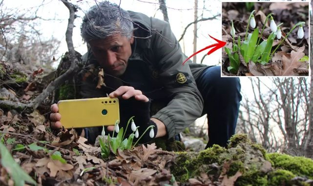 Anadolu’nun Bitki Hazinesi Tehlikede