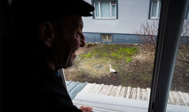 Beklenen Kavuşma Erken Gerçekleşti