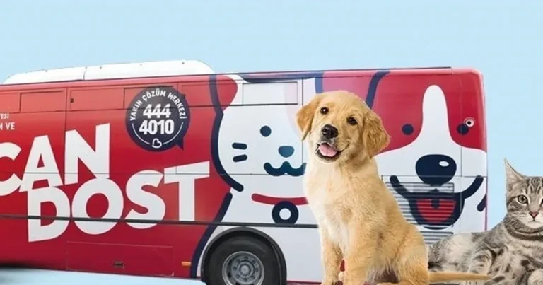 Balıkesir’de patili canlara mobil sağlık hizmeti