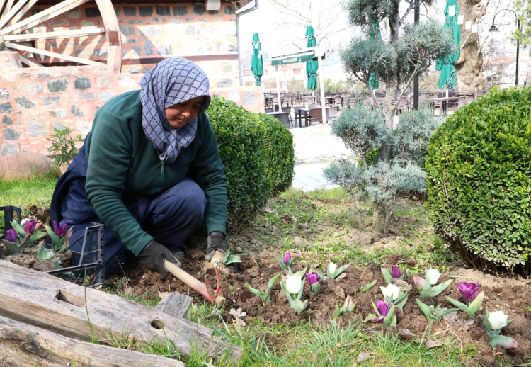 Bursa Osmangazi’nin her bir noktası çiçek açtı