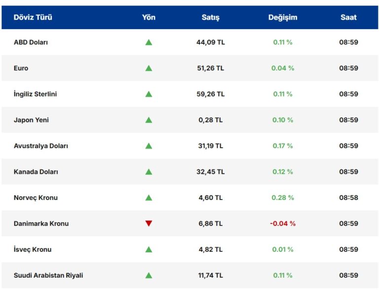 Dolar Güç Kaybediyor