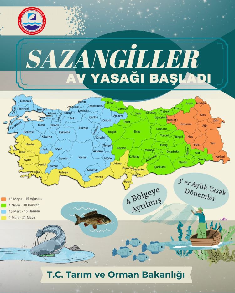 İç sularda sazangiller için av yasağı başladı