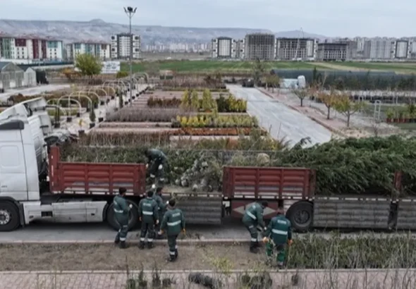 Kayseri Kocasinan'dan ağaç dikme rekoru