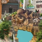 Kayseri'de hayvanat bahçesi ücretsiz
