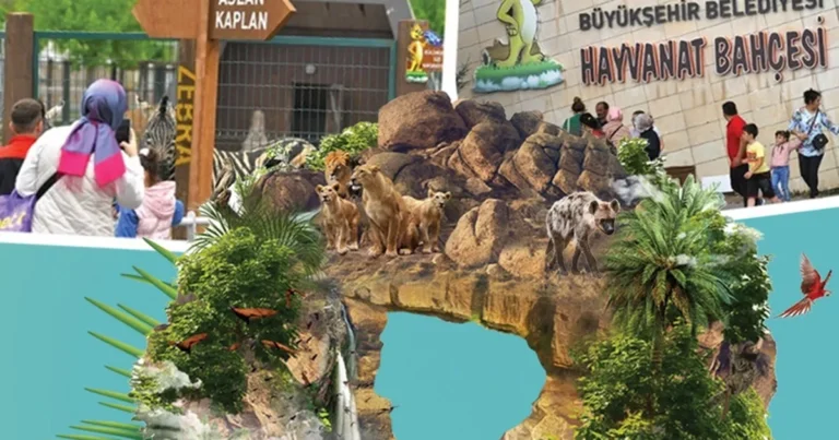 Kayseri'de hayvanat bahçesi ücretsiz