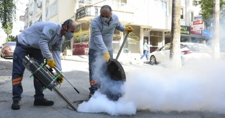 Mersin'de haşere alarmı