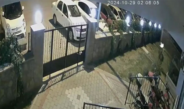 Profesör eş cinayetle suçlandı