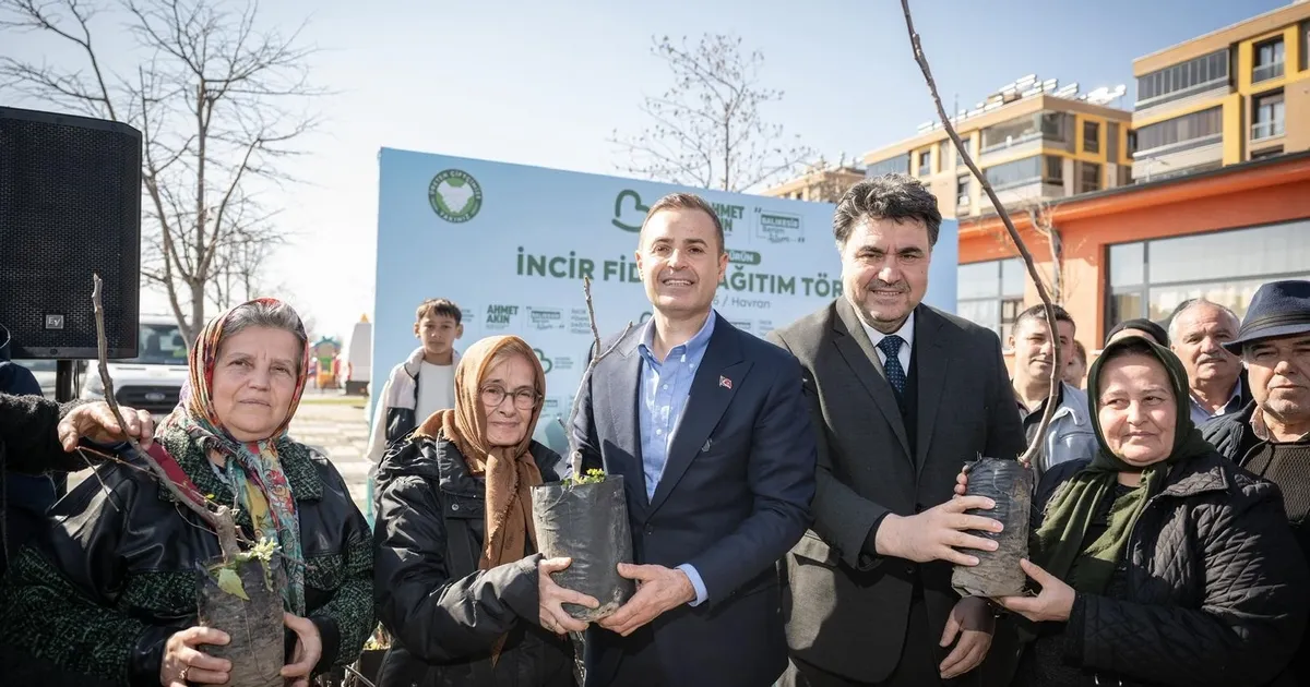 Üreticilere incir fidanı desteği